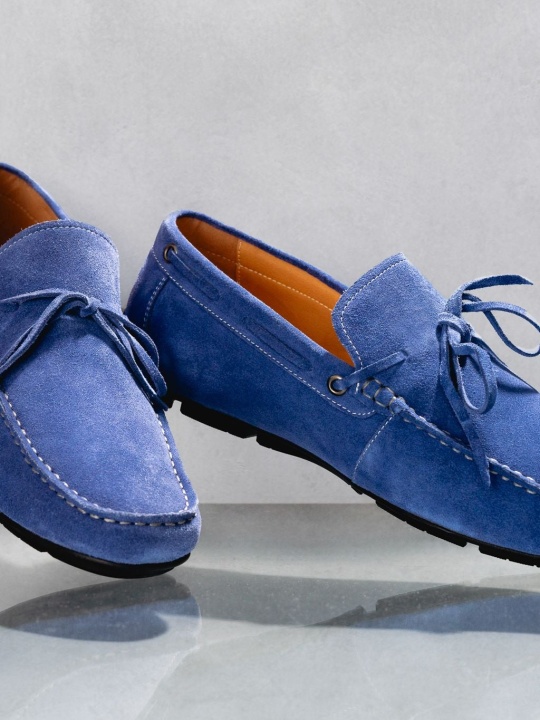 ANTS BLUE